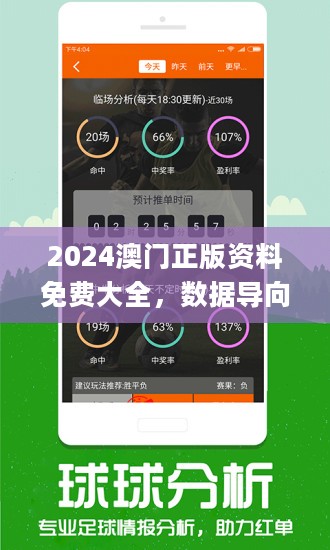 2024新澳正版资料免费大全,富强解释解析落实高效版250.304