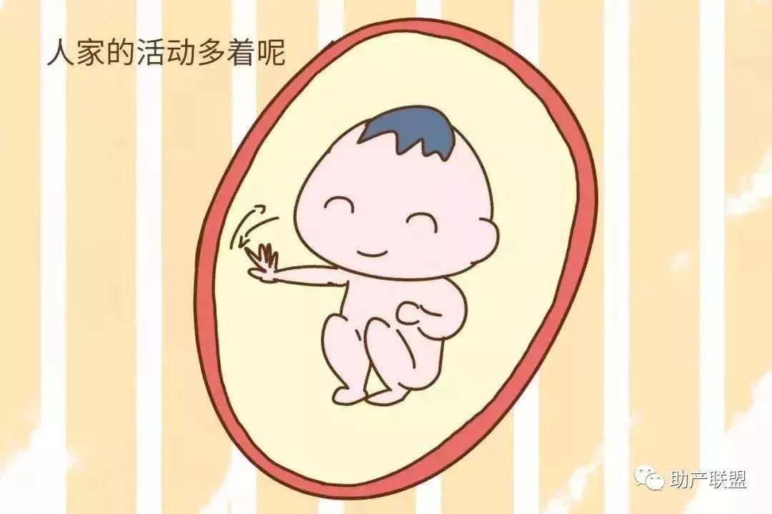 胎动初体验，三个月的胎动感受