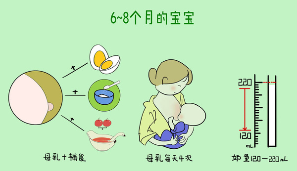 六个月宝宝吃奶量的全面解析