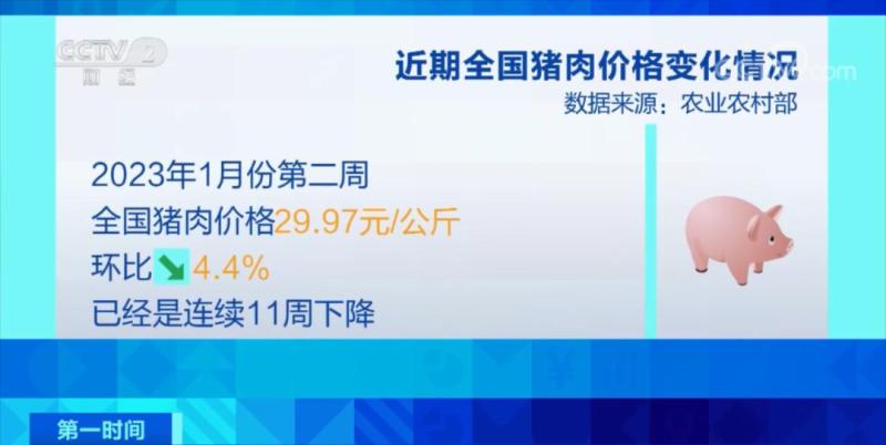 连续两个月吃毓婷，理性看待与正确使用