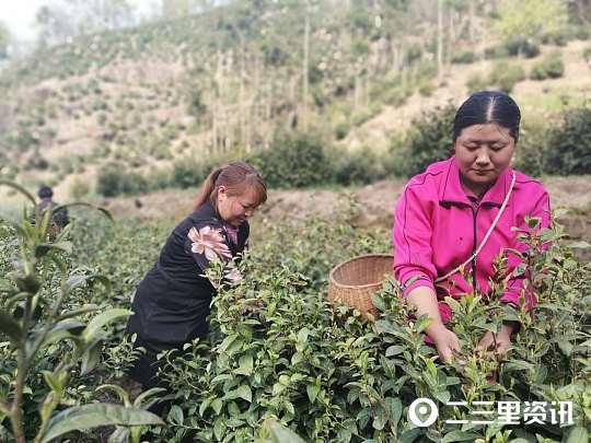 江苏达仁环境科技，引领绿色革命，塑造可持续未来