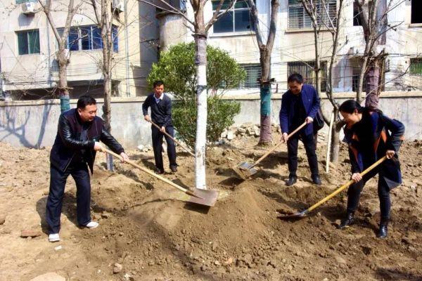 江苏科技大学植树活动，播种绿色希望，共筑美好未来