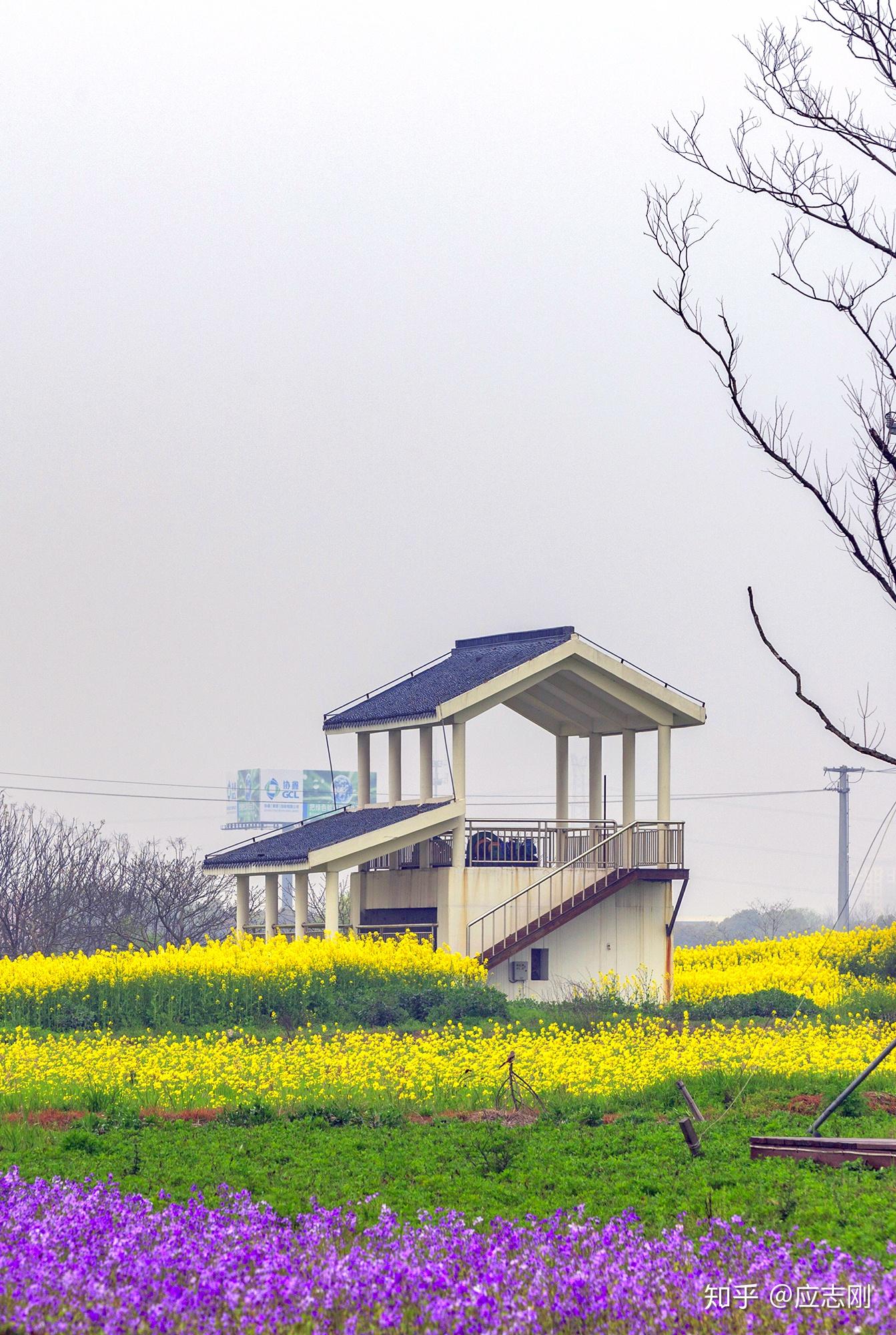 江苏科技农场概述及其特色